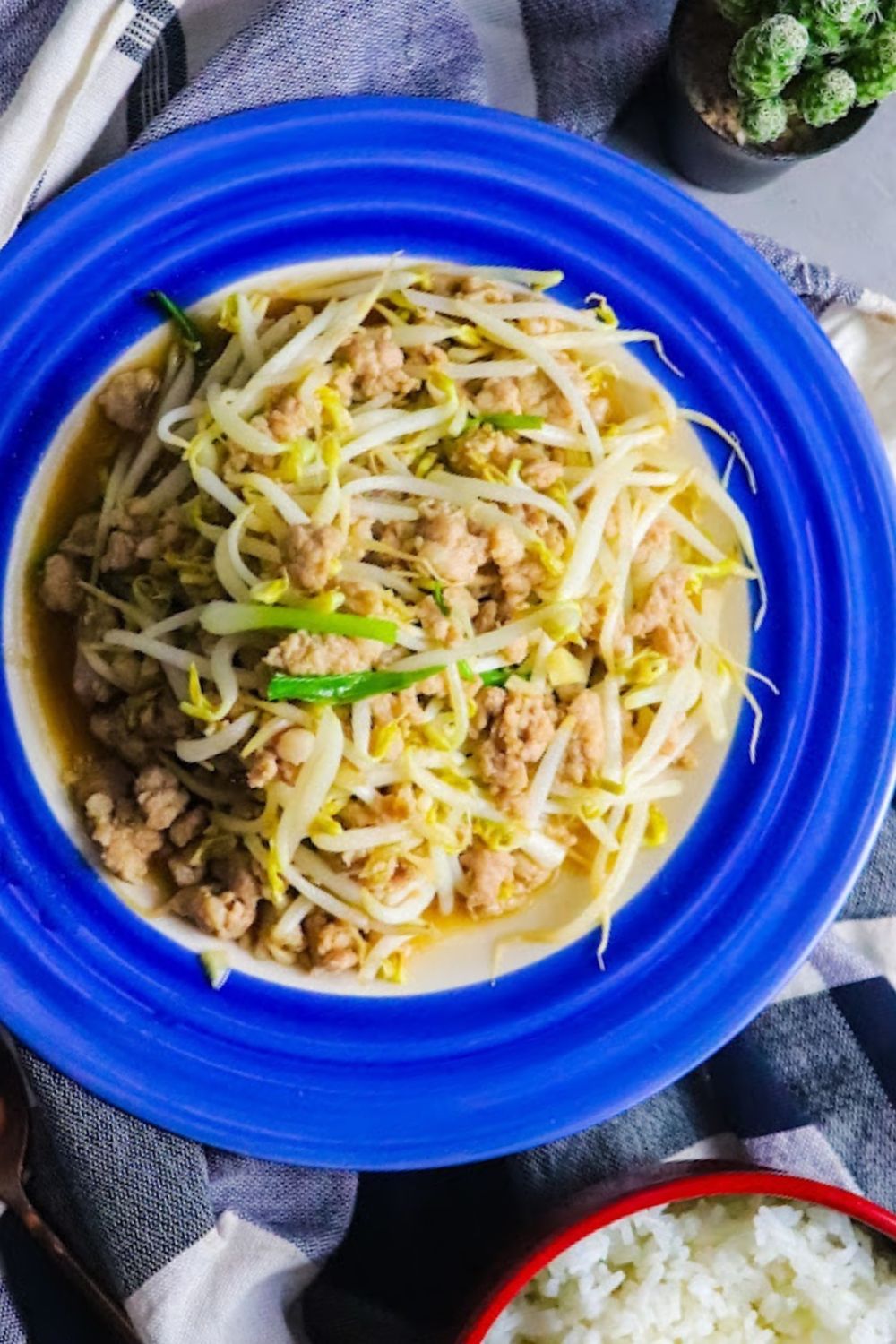 Stir Fried Bean Sprouts with Minced Pork
