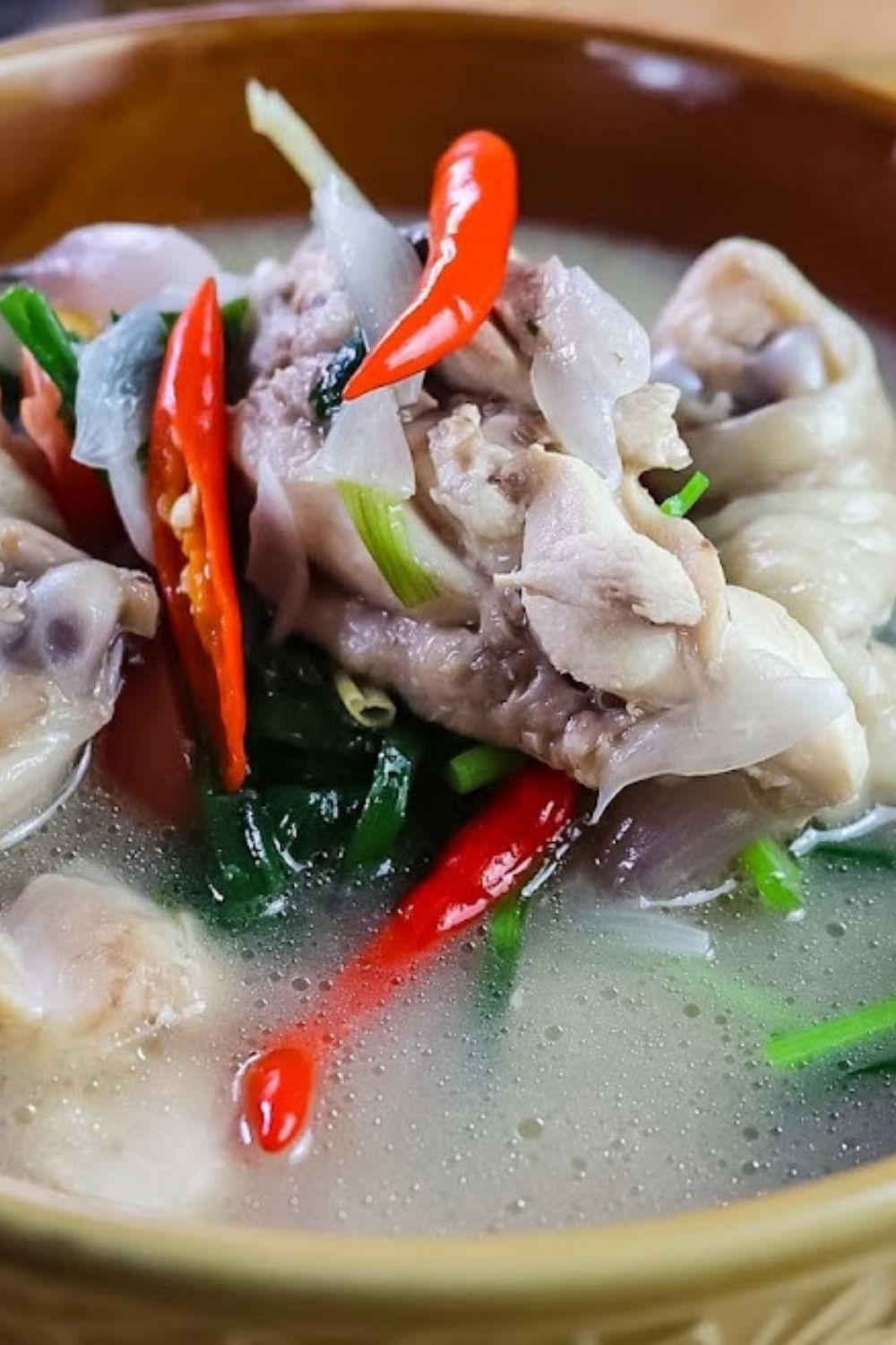 Thai style chicken soup